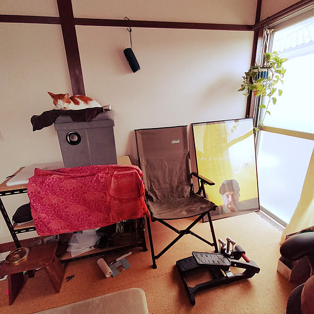 unkoさんの実例写真