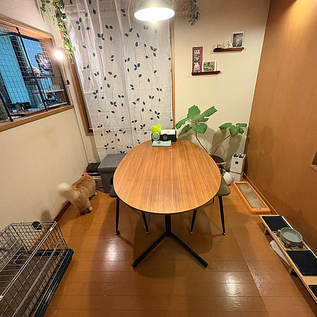 amosさんの実例写真