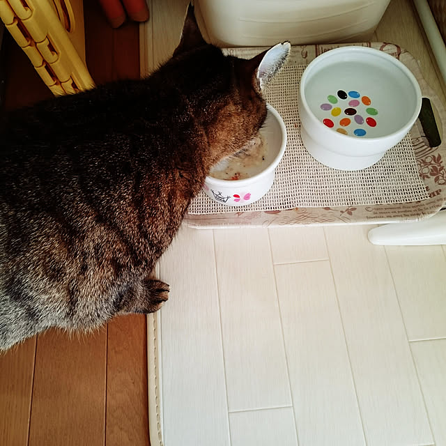 lilyさんの実例写真