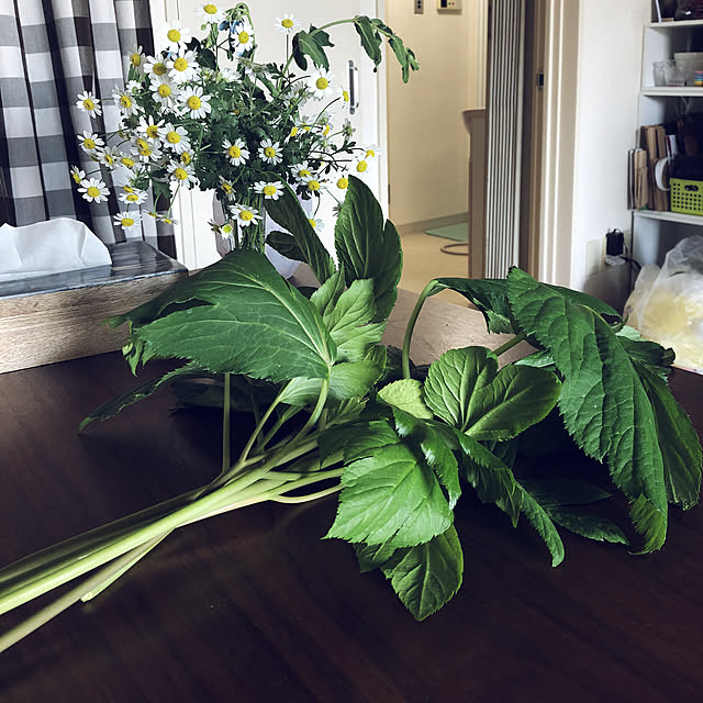 a8ka_shanさんの実例写真