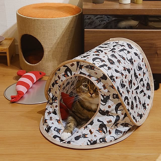 mochicoさんの実例写真