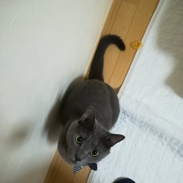 guriさんの実例写真