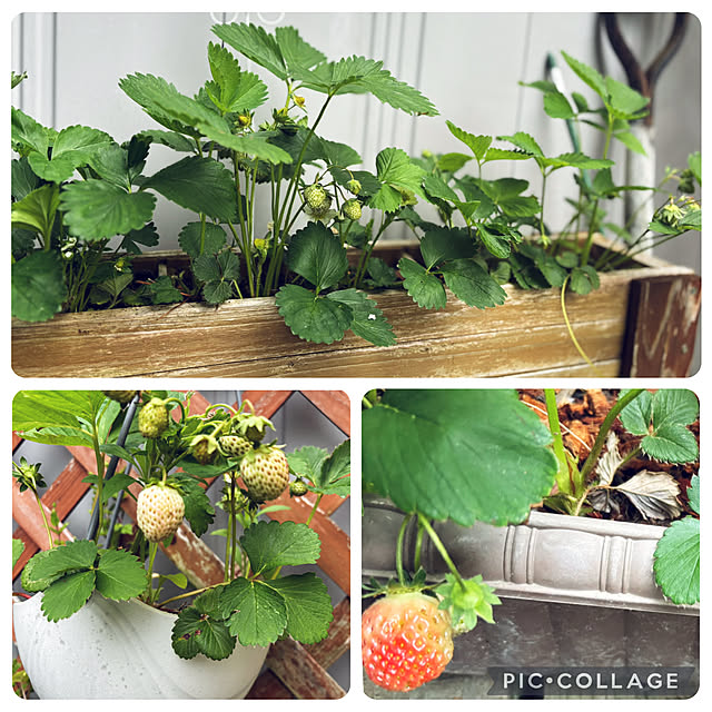 CoCo0617さんの部屋
