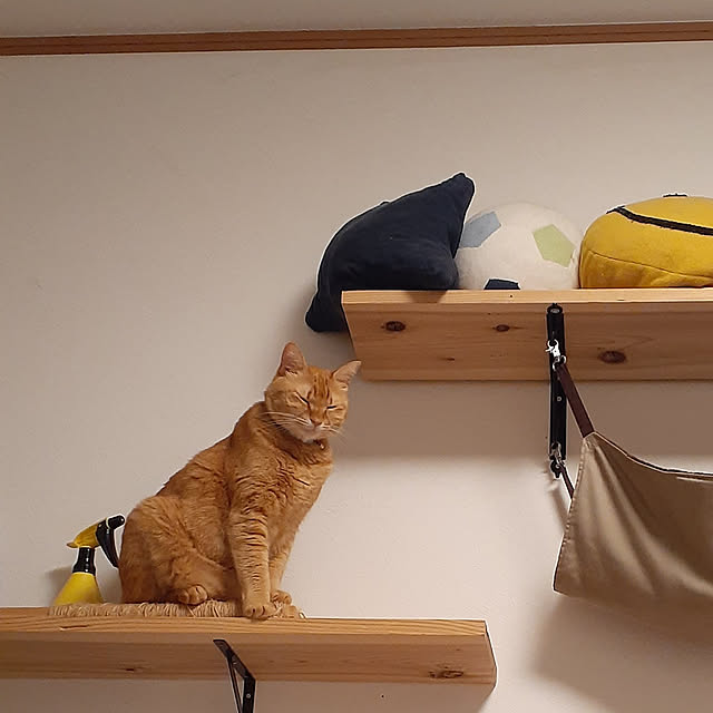 amtさんの実例写真