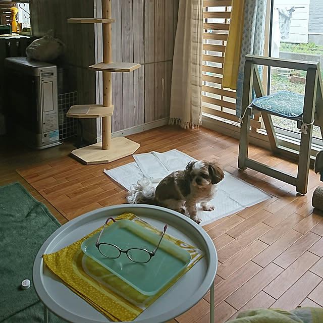 SHIHOさんの実例写真