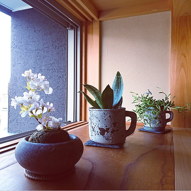 hinasaさんの実例写真