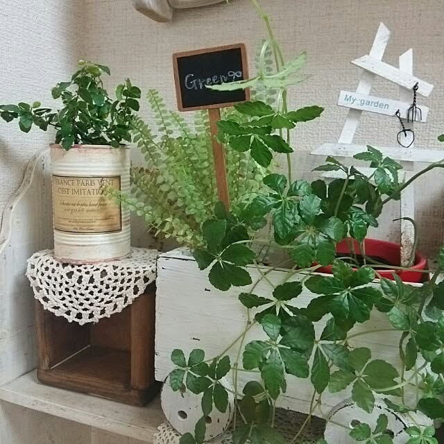 hirokoさんの実例写真