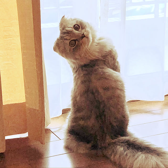 hirominさんの実例写真