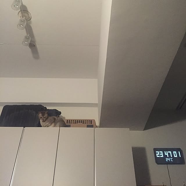 cocomimiさんの実例写真