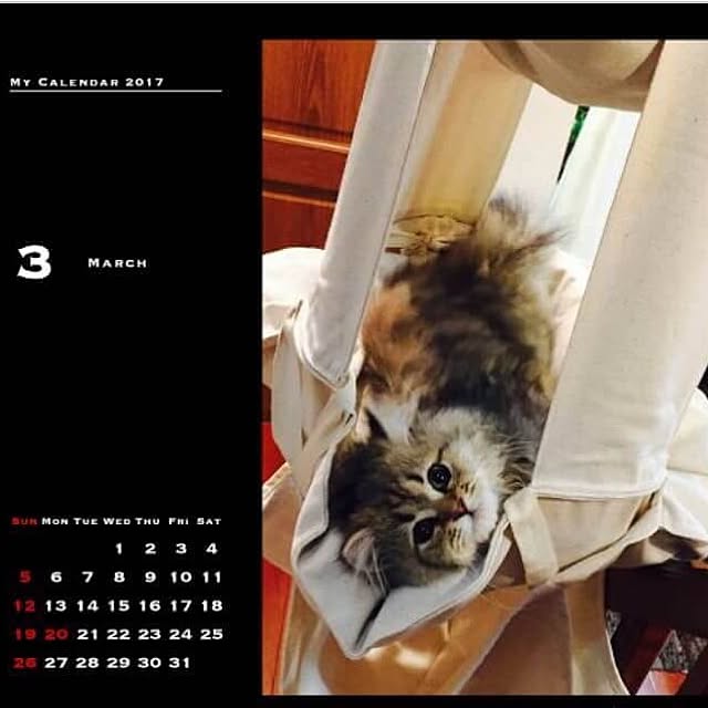 butachanさんの実例写真
