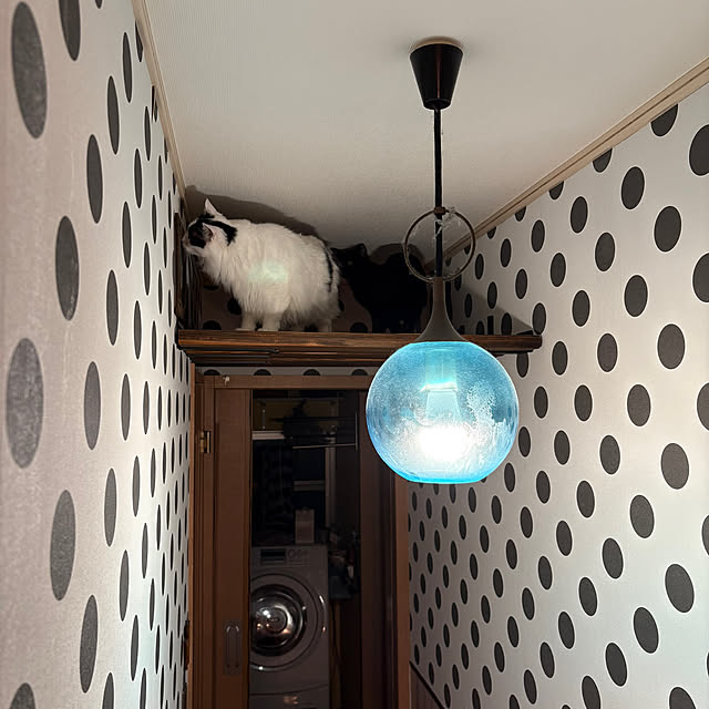 Tetsuyaさんの部屋