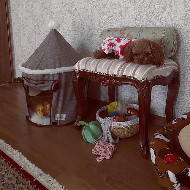 Tiaraさんの実例写真