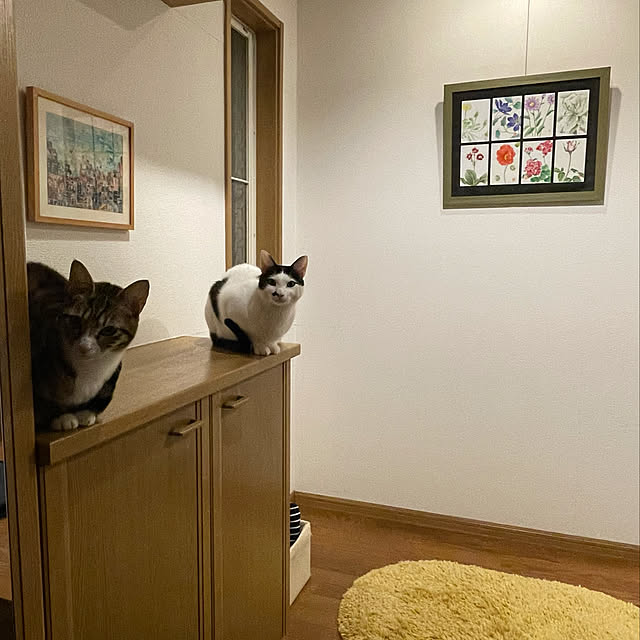 nobikoさんの実例写真