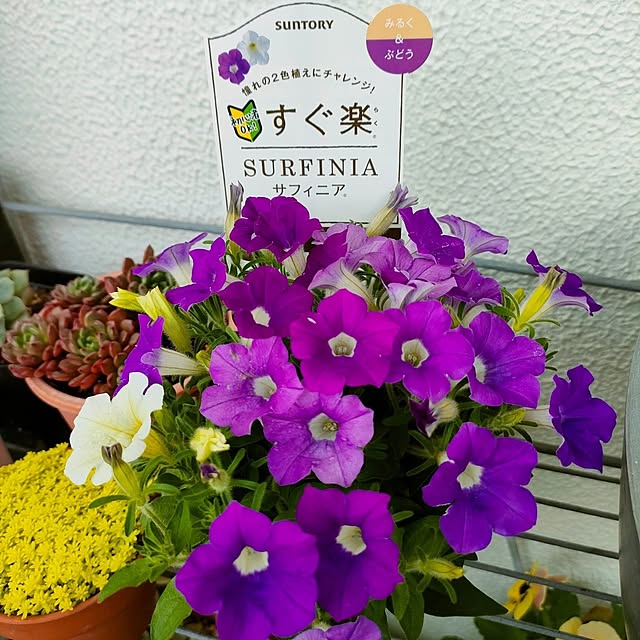 VERANDARJUNさんの実例写真