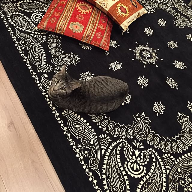yoppeさんの実例写真