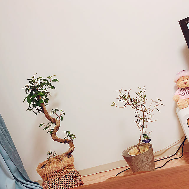 morimoriさんの実例写真