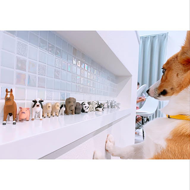 3ayuさんの実例写真