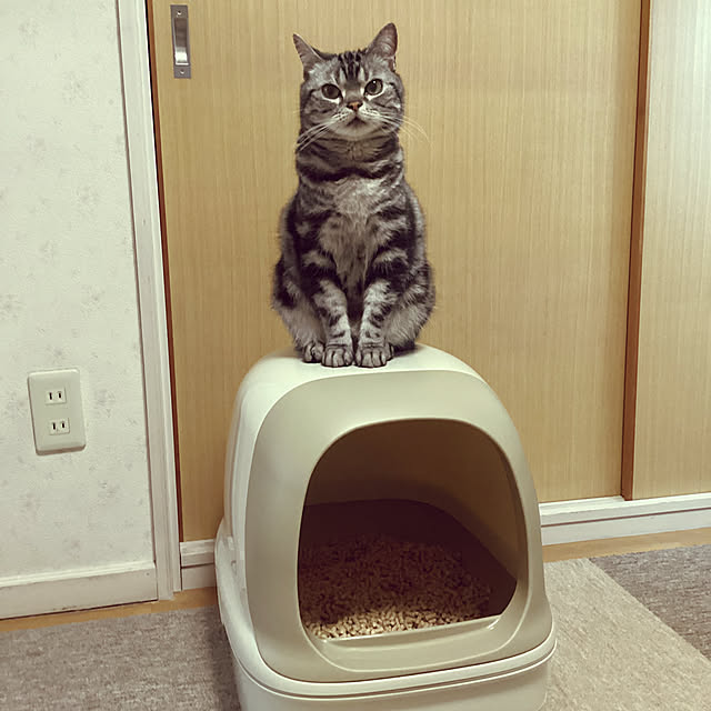 richanさんの実例写真