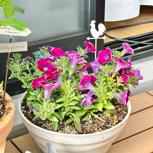 miyumiyuさんの部屋