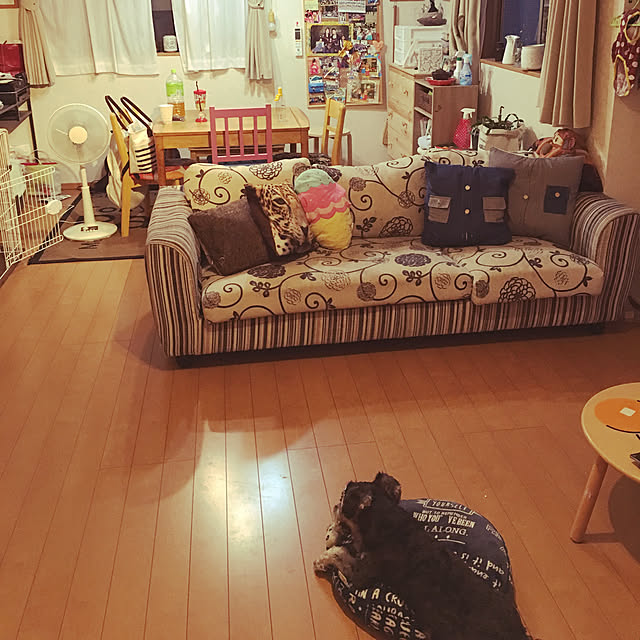 Mikaさんの実例写真