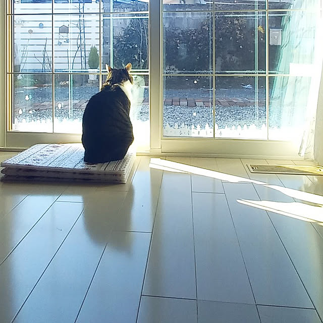 civicglさんの実例写真