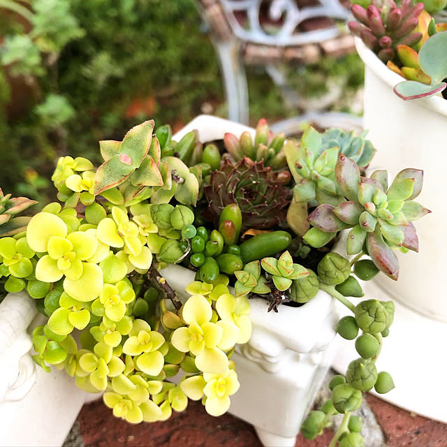 **yuu**さんの実例写真