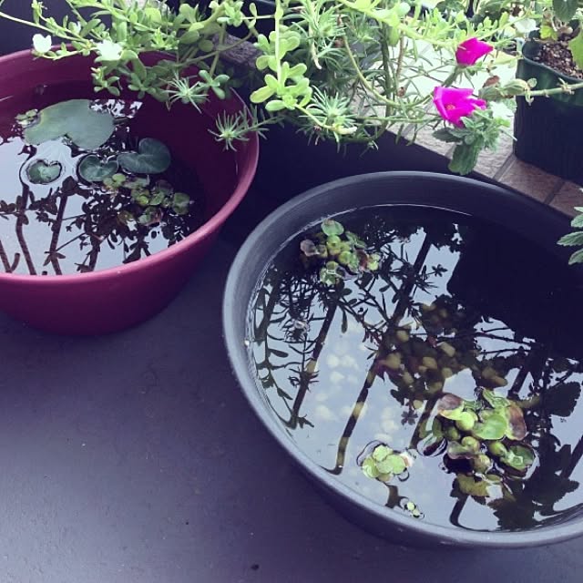 taroさんの実例写真