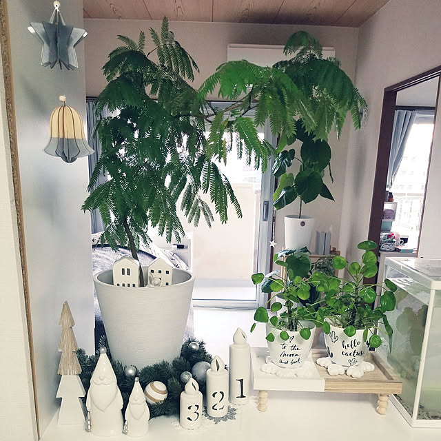 ...t_m_eee...さんの実例写真