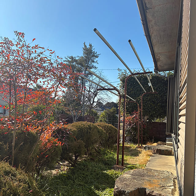 gecfrqxjjotjmdrtbgさんの実例写真