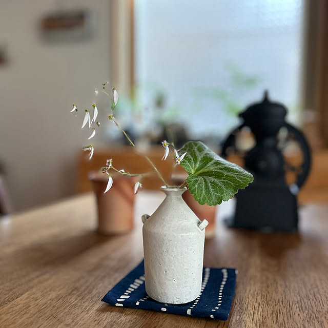 botanさんの実例写真