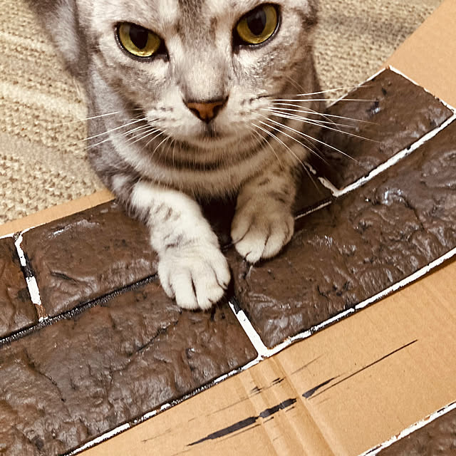 HANAさんの部屋