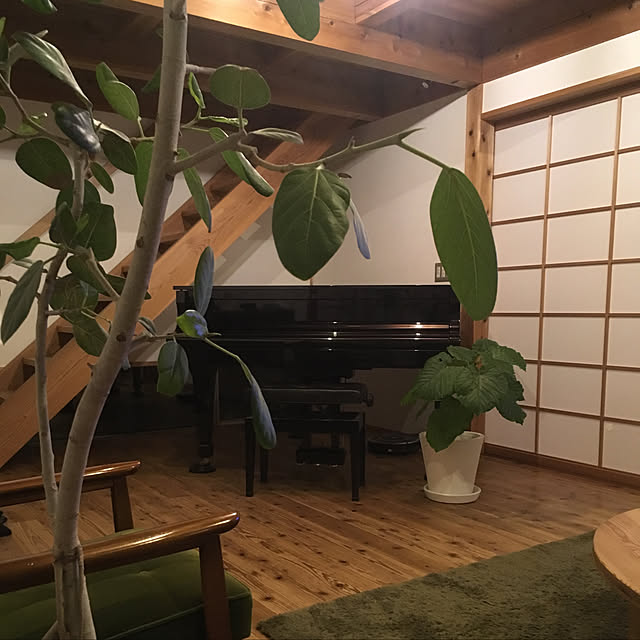 yukikoさんの実例写真