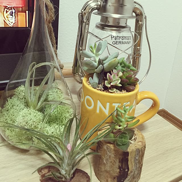 mahoさんの実例写真