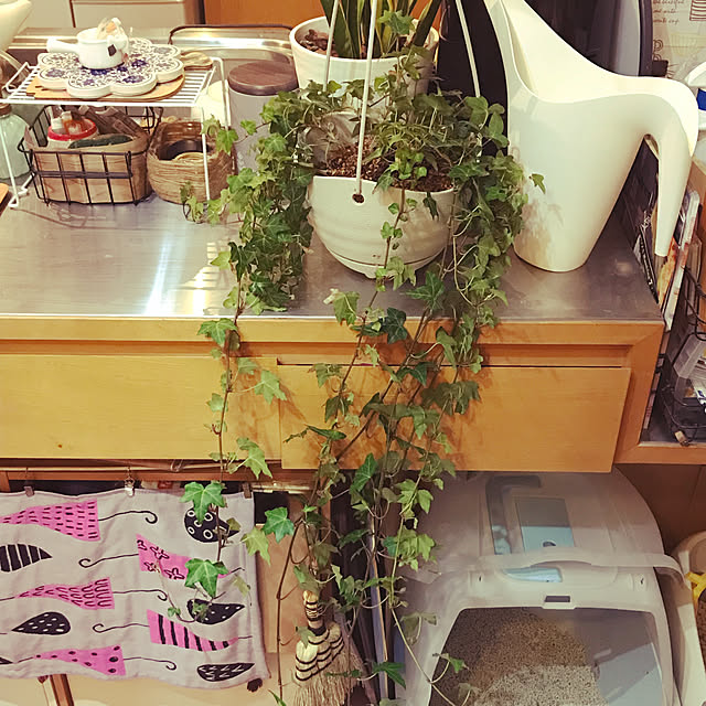 kou-kitiさんの実例写真
