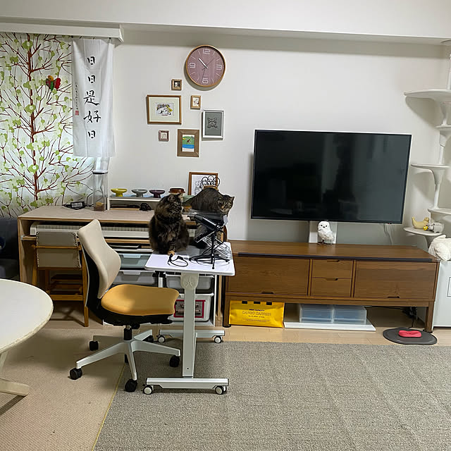 mikomaruさんの実例写真