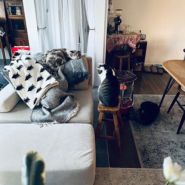 a.f.さんの実例写真