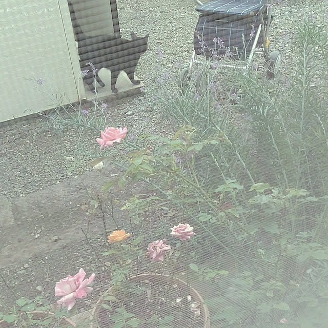 hiroさんの実例写真