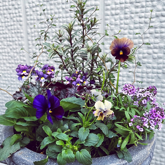 yukarin-gardenさんの部屋