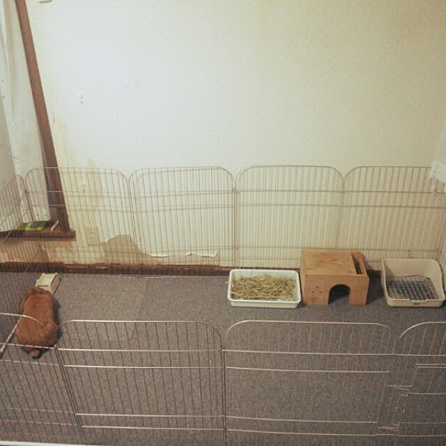 zivaさんの実例写真