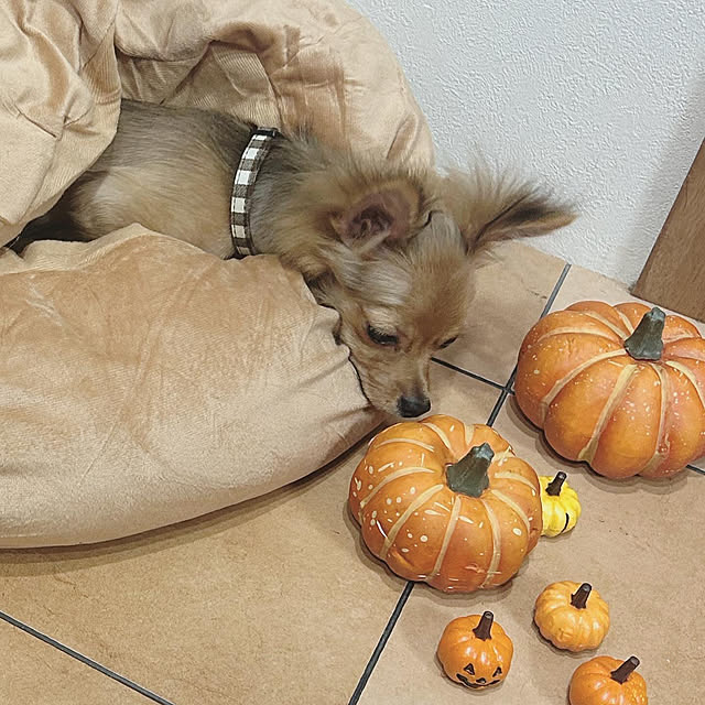 nnramさんの部屋