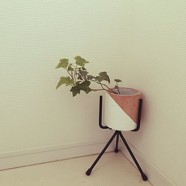 dmamaさんの実例写真