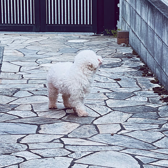 chacoさんの実例写真