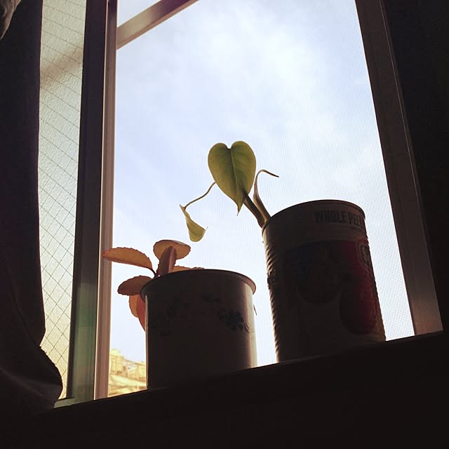 oyukiさんの実例写真