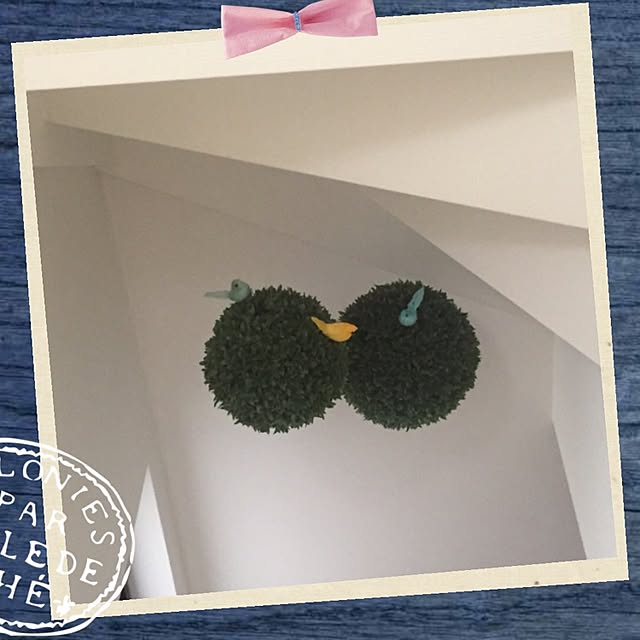 kureaさんの実例写真