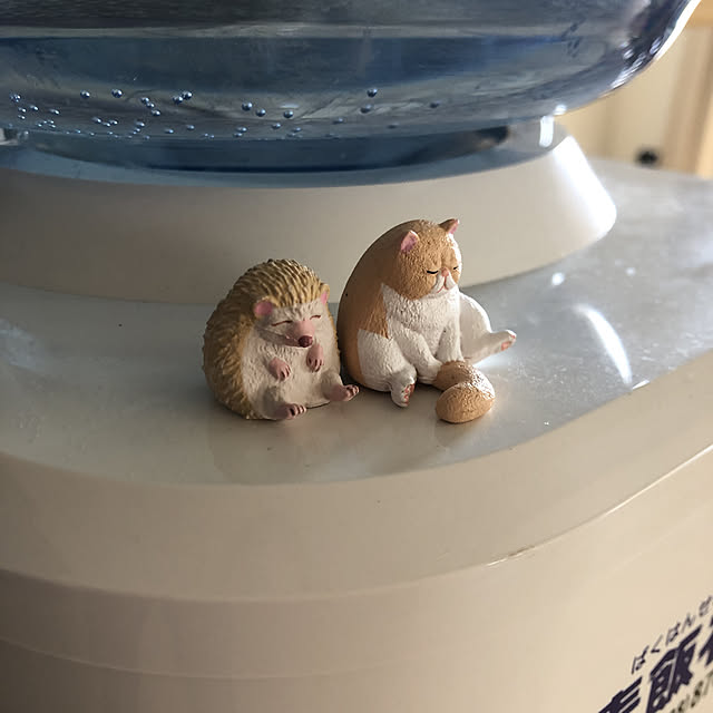 misuさんの実例写真
