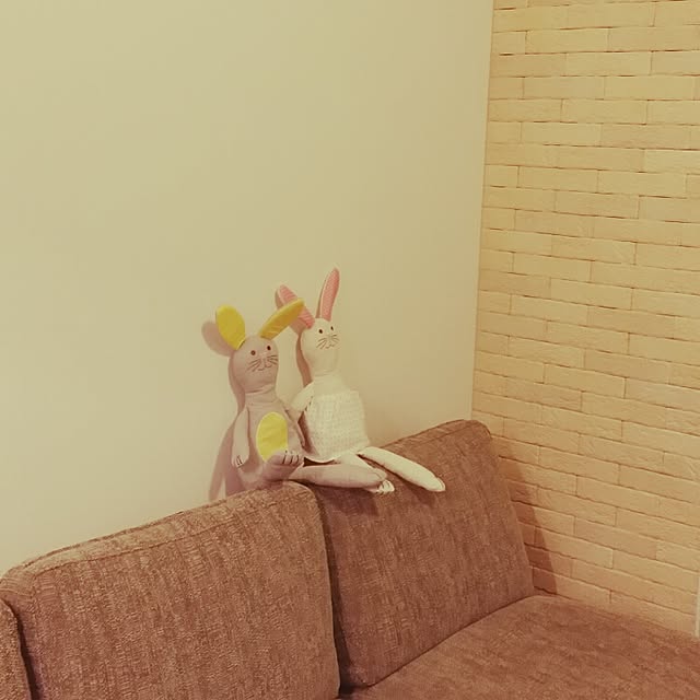 ariさんの実例写真
