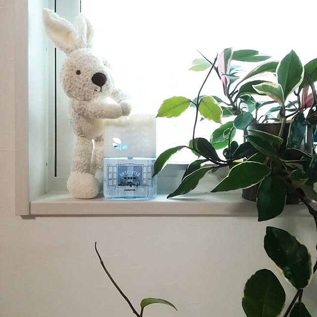 Jijiさんの実例写真