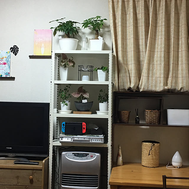 ayuさんの実例写真