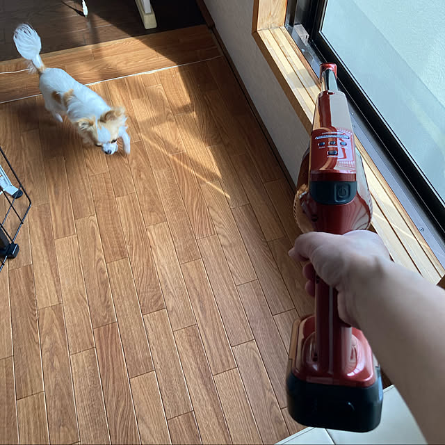 toratanさんの実例写真