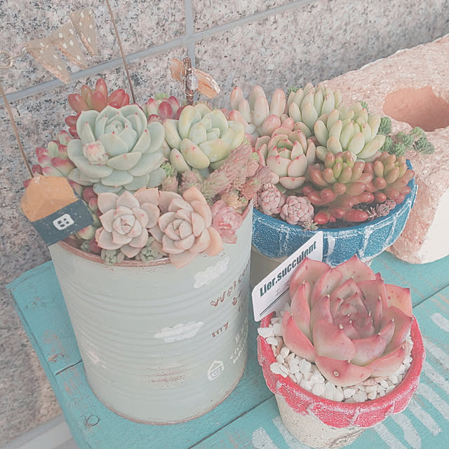 ksyf-naturalさんの実例写真